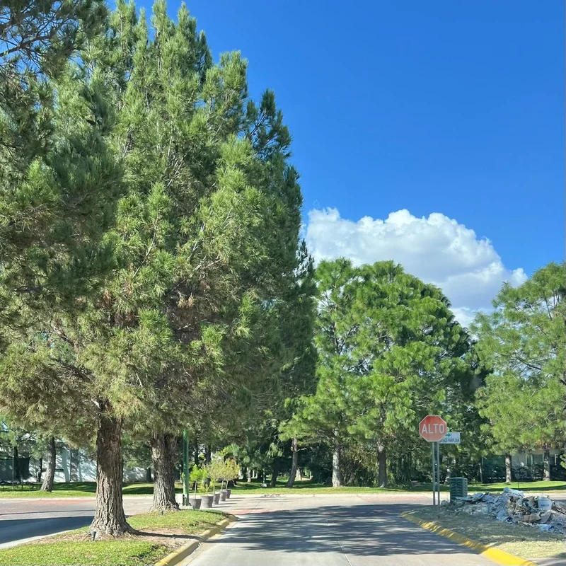 Terreno Las Privanzas, foto 3